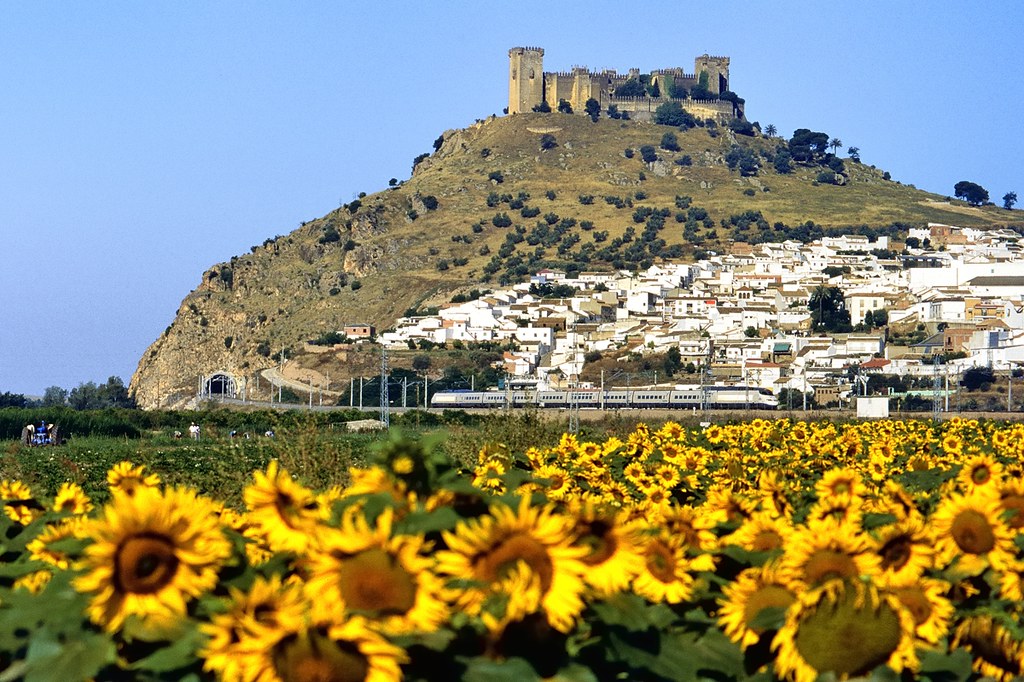 Experience Madrid to Seville by train always at high speed over 300 km/h